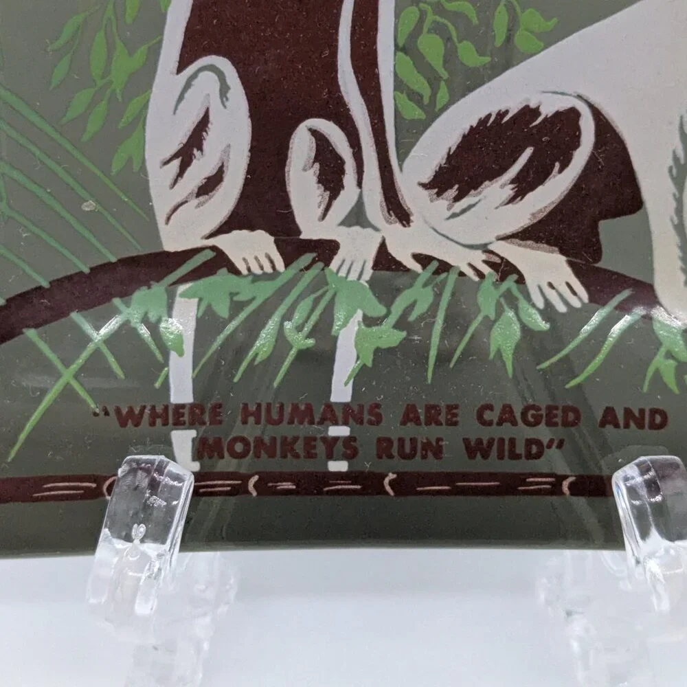 Vintage Monkey Jungle Glass Souvenir Dish Miami Florida Green Brown Chimp Zoo - Picture 4 of 6
